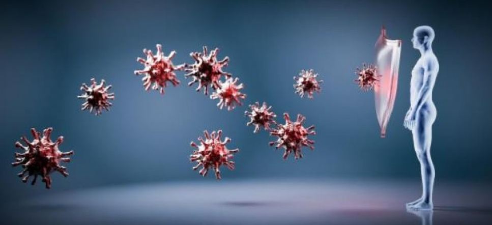 What-is-Developmental-Immunology-Kanury-Rao-Explains